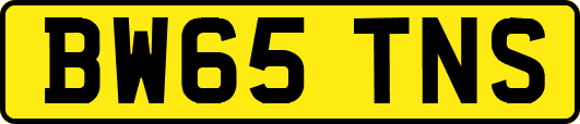 BW65TNS