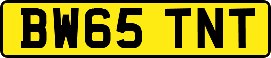 BW65TNT