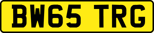 BW65TRG