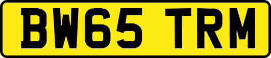 BW65TRM