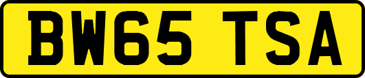 BW65TSA