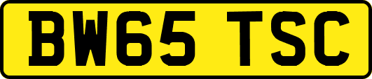 BW65TSC