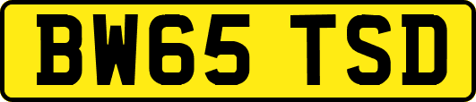 BW65TSD
