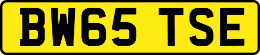 BW65TSE