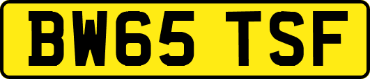 BW65TSF