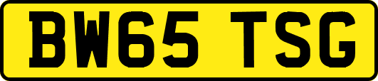 BW65TSG