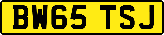 BW65TSJ