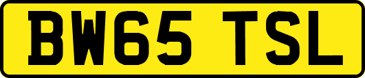 BW65TSL