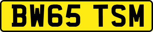 BW65TSM