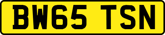 BW65TSN
