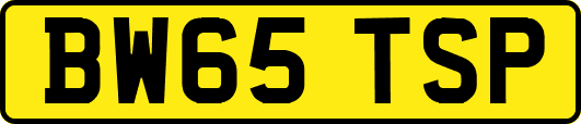 BW65TSP
