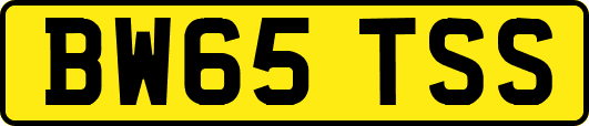 BW65TSS