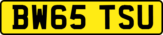 BW65TSU