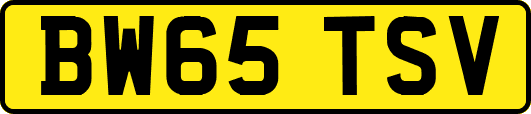 BW65TSV