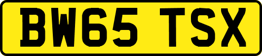 BW65TSX