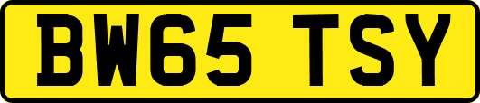 BW65TSY