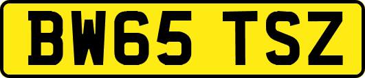 BW65TSZ