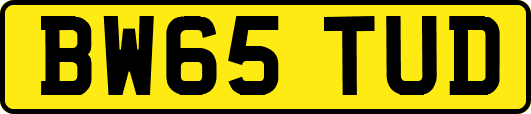 BW65TUD