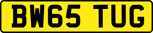 BW65TUG