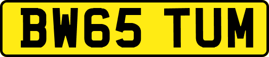 BW65TUM