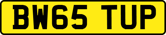 BW65TUP