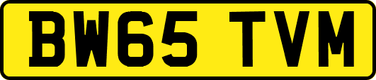 BW65TVM