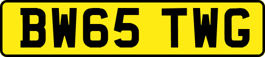 BW65TWG