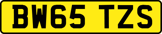 BW65TZS