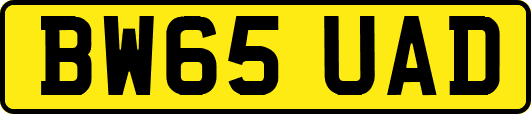 BW65UAD