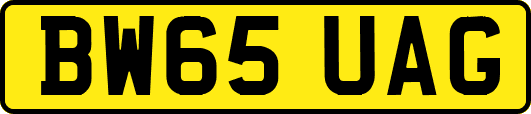 BW65UAG