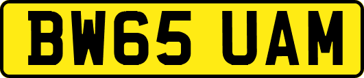BW65UAM