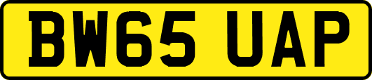 BW65UAP