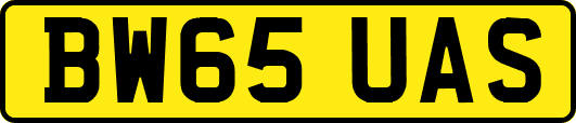 BW65UAS