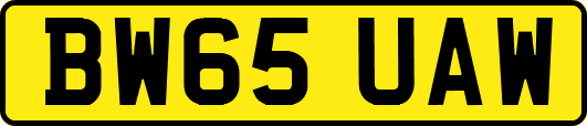 BW65UAW