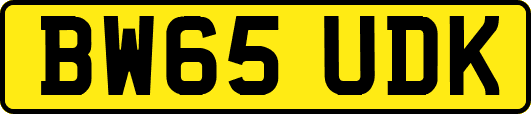 BW65UDK