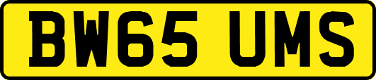BW65UMS