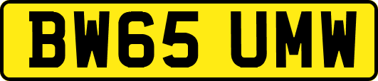 BW65UMW