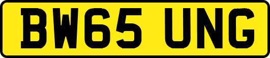 BW65UNG