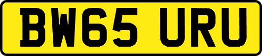 BW65URU