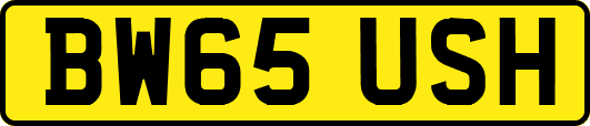 BW65USH
