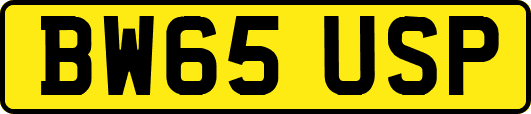 BW65USP