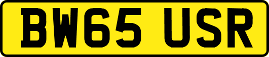 BW65USR