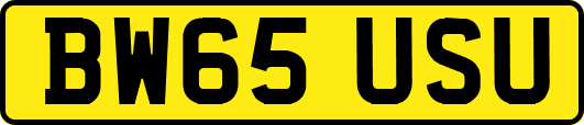BW65USU