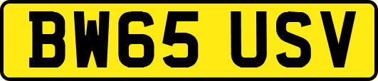 BW65USV