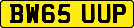 BW65UUP