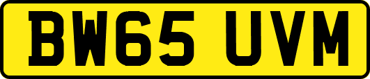 BW65UVM
