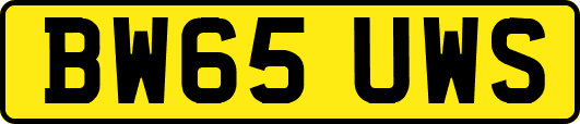 BW65UWS