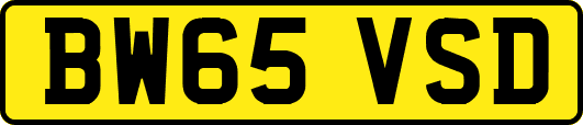 BW65VSD