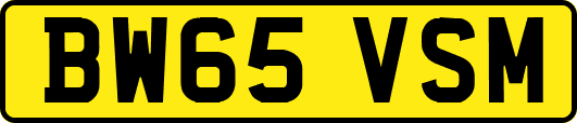 BW65VSM