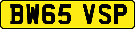 BW65VSP